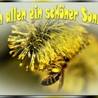 Euch allen einen sonnigen Sonntag !