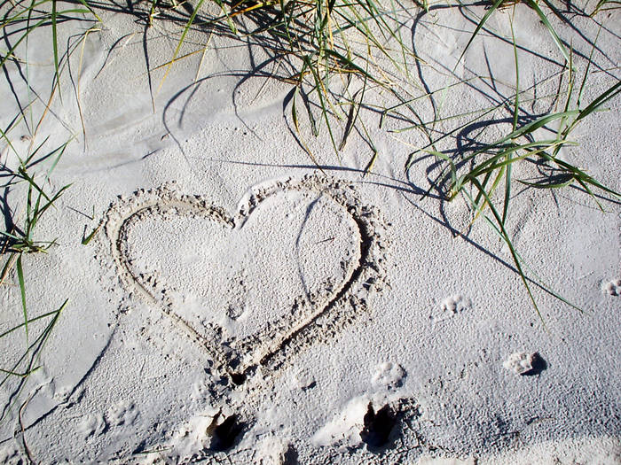 Euch da draußem am Bildschirm alles Liebe zum Valentinstag!