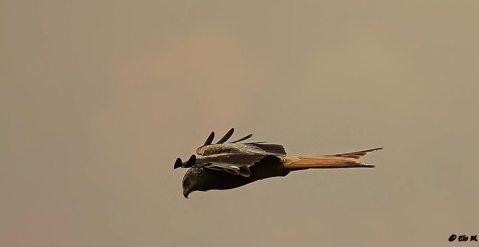 Euch einen guten Flug ins Wochenende....