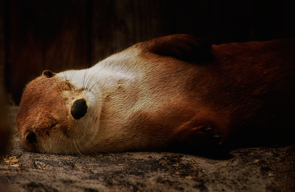 Euch ne gute Woche! Ich dreh mich nochmal um. Bum ...