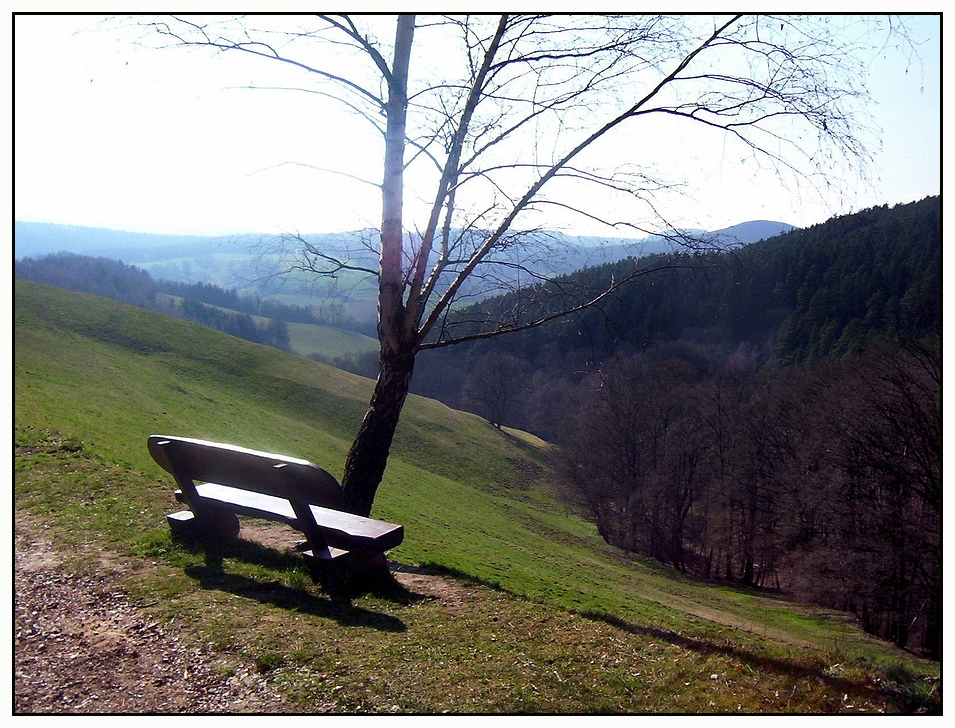 Euch zum Frühlingsanfang ein schönes Wochenende