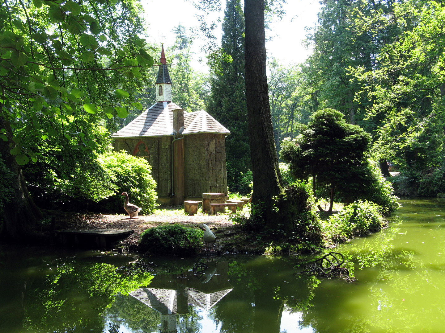 Eulbacher Park bei Erbach / Odenwald Foto & Bild