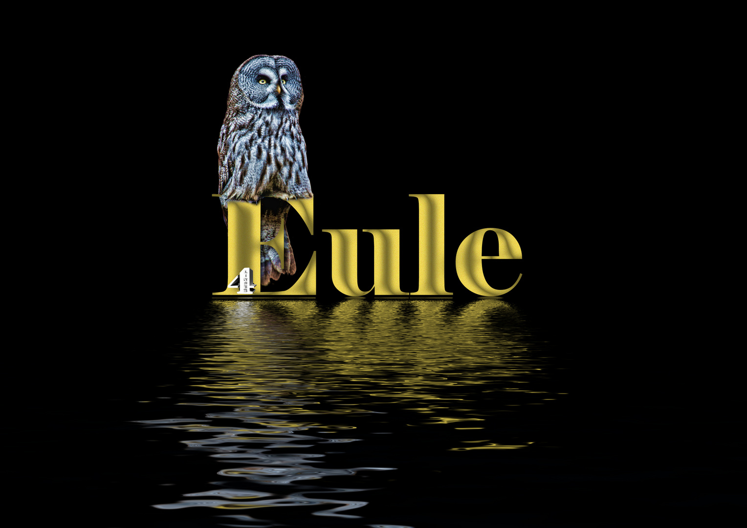 Eule