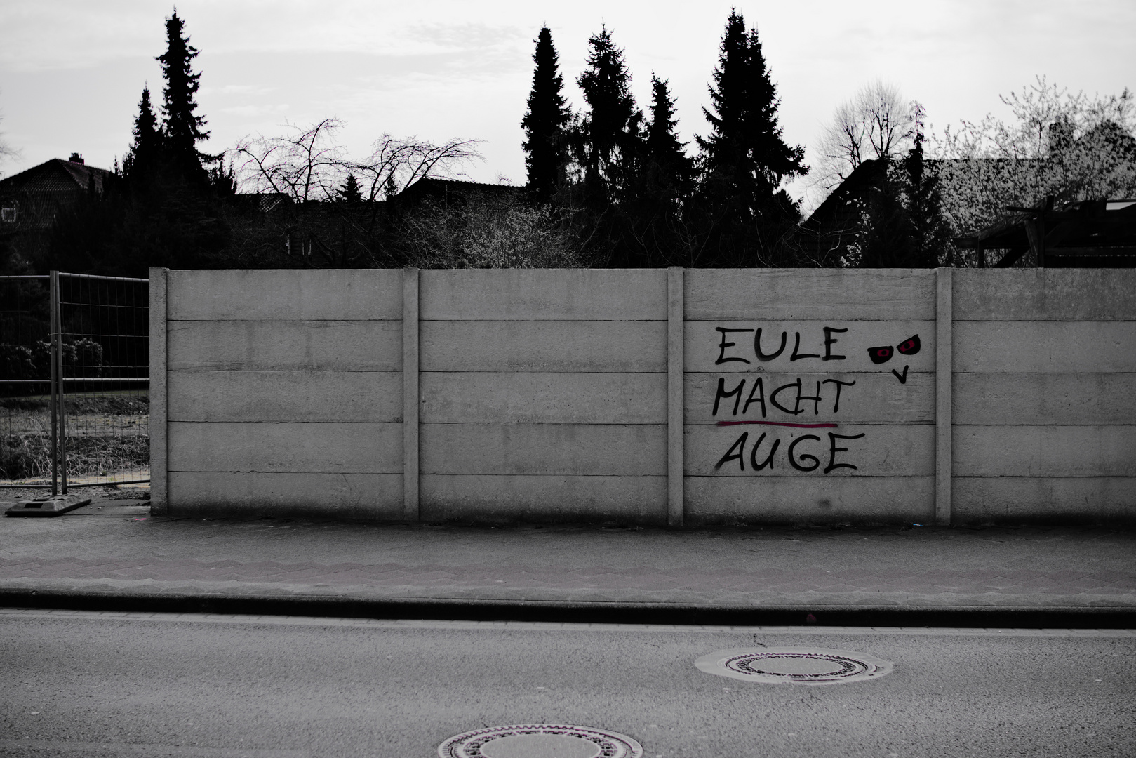 Eule Macht Auge