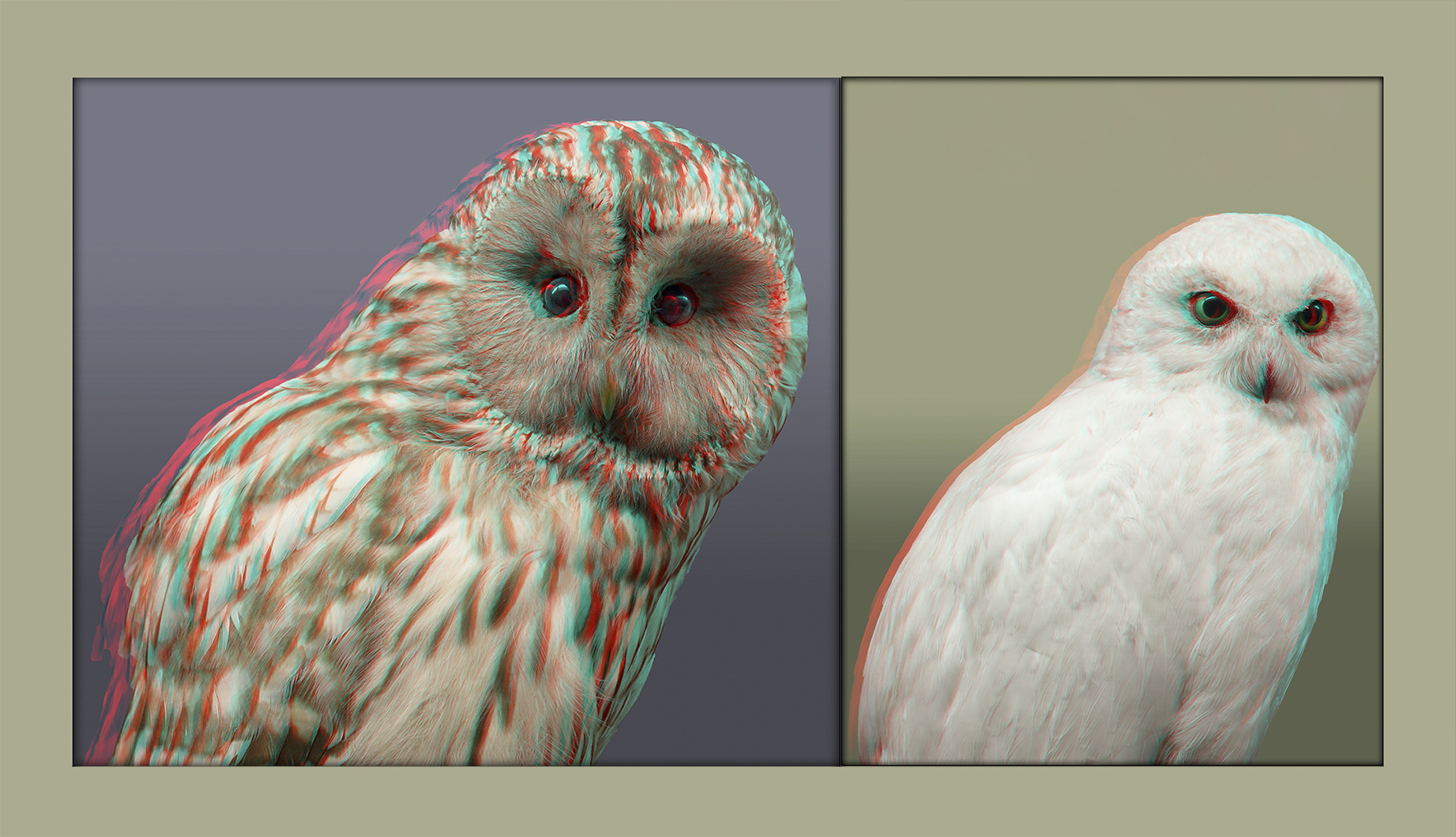 Eulen Anaglyphe (3D)