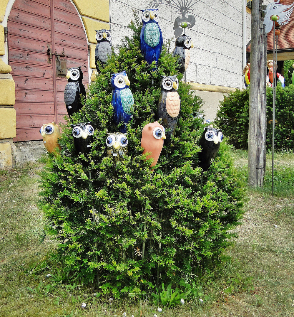 Eulenbaum- Gartenfest Schloß Eyrichshof 3