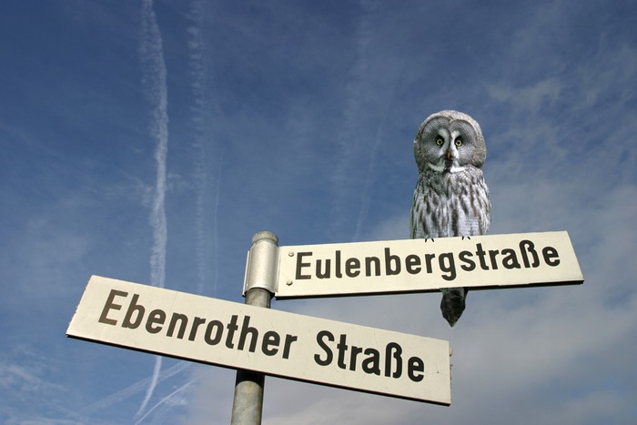 Eulenbergstr.