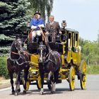 Eulenkopfweg "Hoch auf dem gelben Wagen  *)