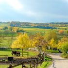  Eulenmühe Herbst 29-10-2016 003