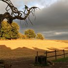 Eulenmühle vor dem Gewitter 2016 056