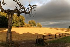 Eulenmühle vor dem Gewitter 2016 056