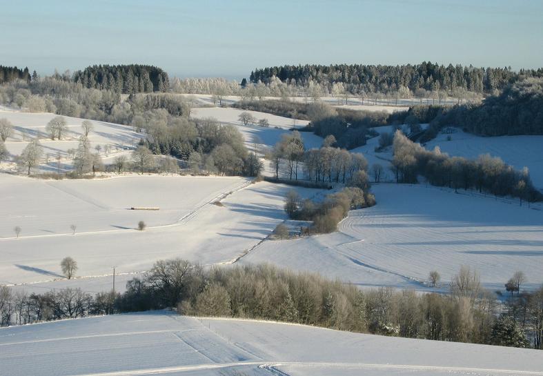 "Eulenspiegel"-Blick...