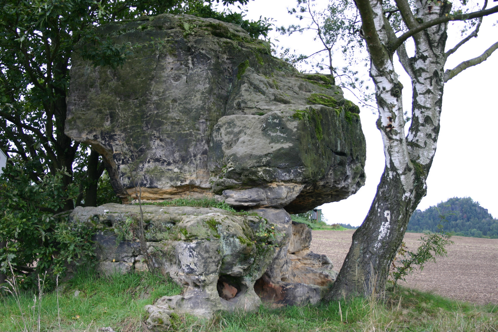 Eulensteine - Hundekopf -