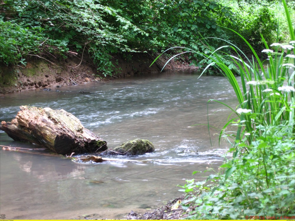 Eulenwanderweg 2009