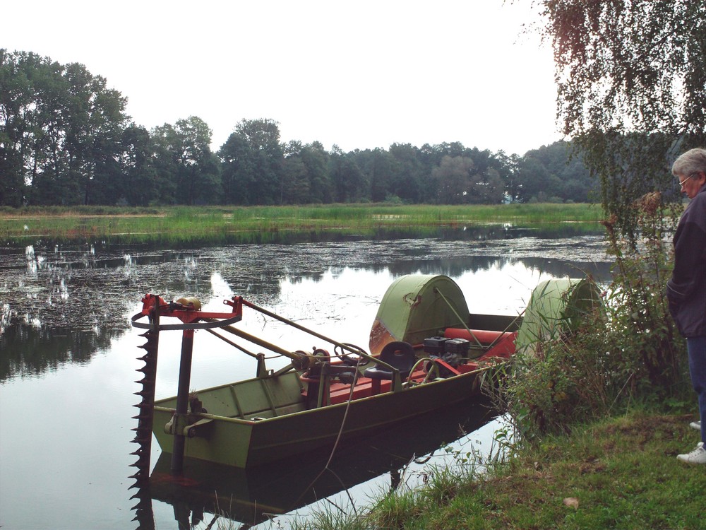 Euloer Teich mit Schilfmähmaschine