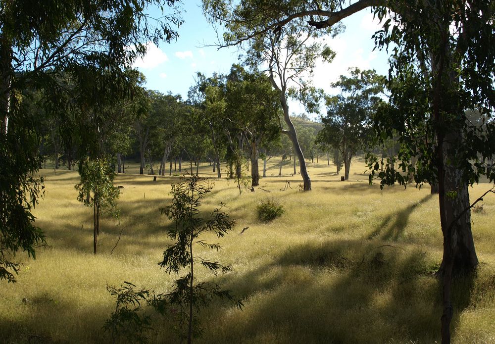 Eungella Dam