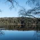 EupenerTalsperre-20190324_DSC8438