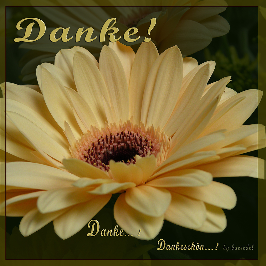 Eure Schonen Fotos Und Prasentationen Habe Ich Nun Bewundert Danke Schon Foto Bild Karten Und Kalender Dankeschon Spezial Bilder Auf Fotocommunity