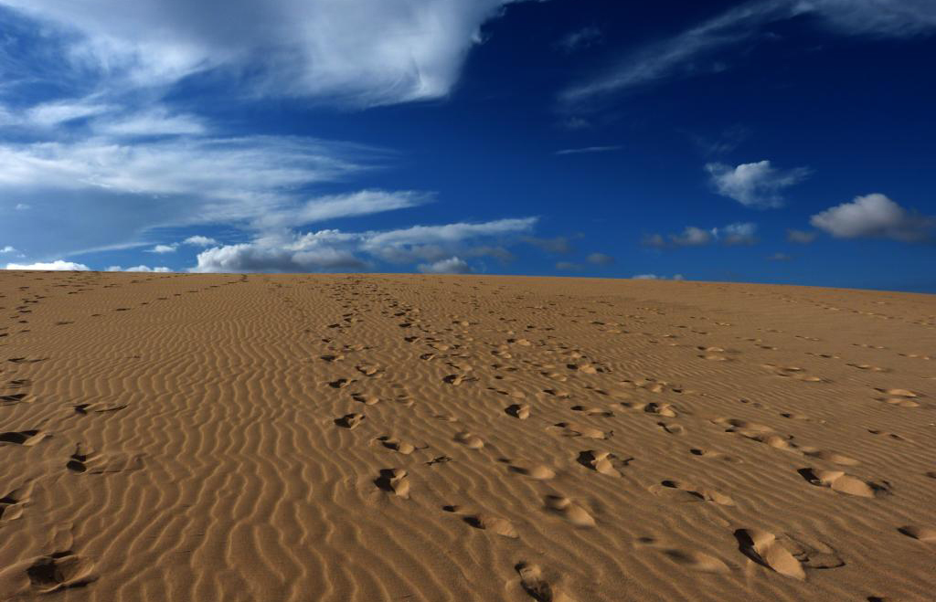 ..."Eure" Spuren in Sand...