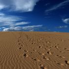 ..."Eure" Spuren in Sand...