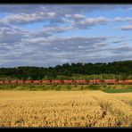 Euro Cargo Rail