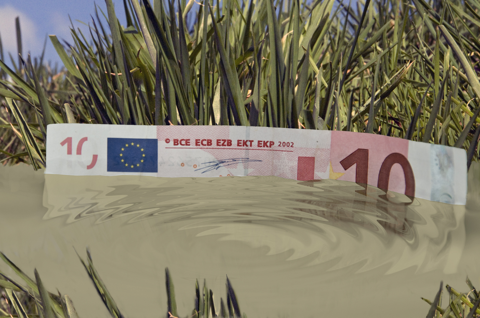 Euro im Sumpf