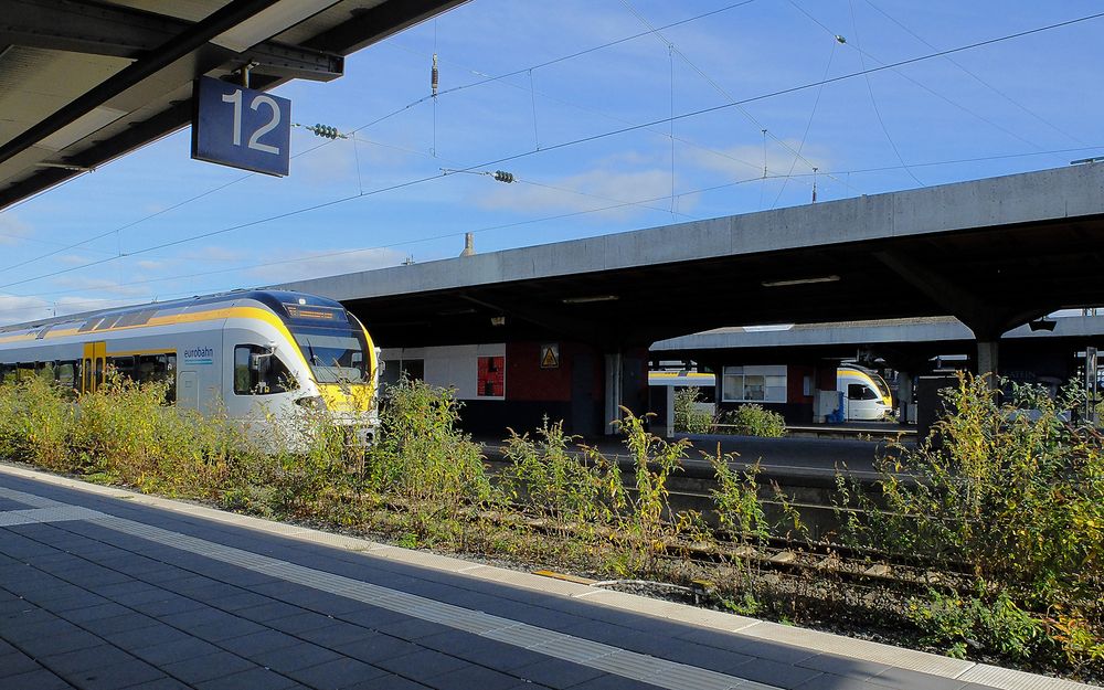 Eurobahnen bevölkern den HBf Hamm