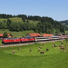 EuroCity im Allgäu