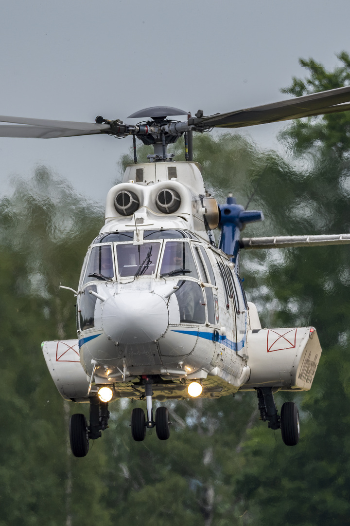 Eurocopter Cougar AS532 SUPER Puma - VIP Transport