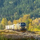 Eurodual von Stadler bei Naamesje auf der Nordlandbahn südwärts. 