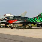 Eurofighter 31+00 "Ghost Tiger"