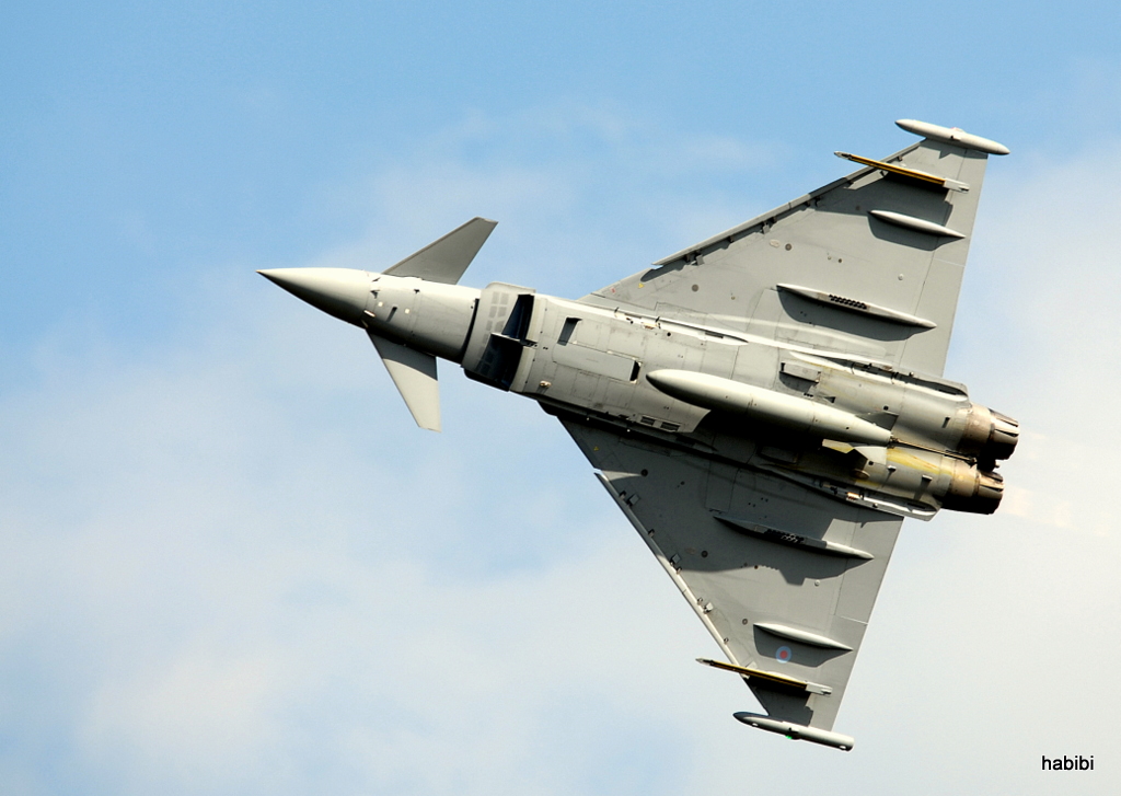 Eurofighter EF 2000 "Typhoon" :)