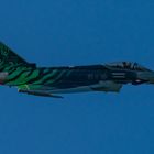 Eurofighter Ghost Tiger