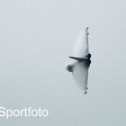 Eurofighter Österreich, Solo Display 50 Jahre JG 74