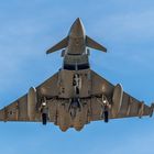 Eurofighter Typhon VI