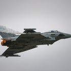 Eurofighter Typhoon