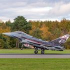 Eurofighter Typhoon