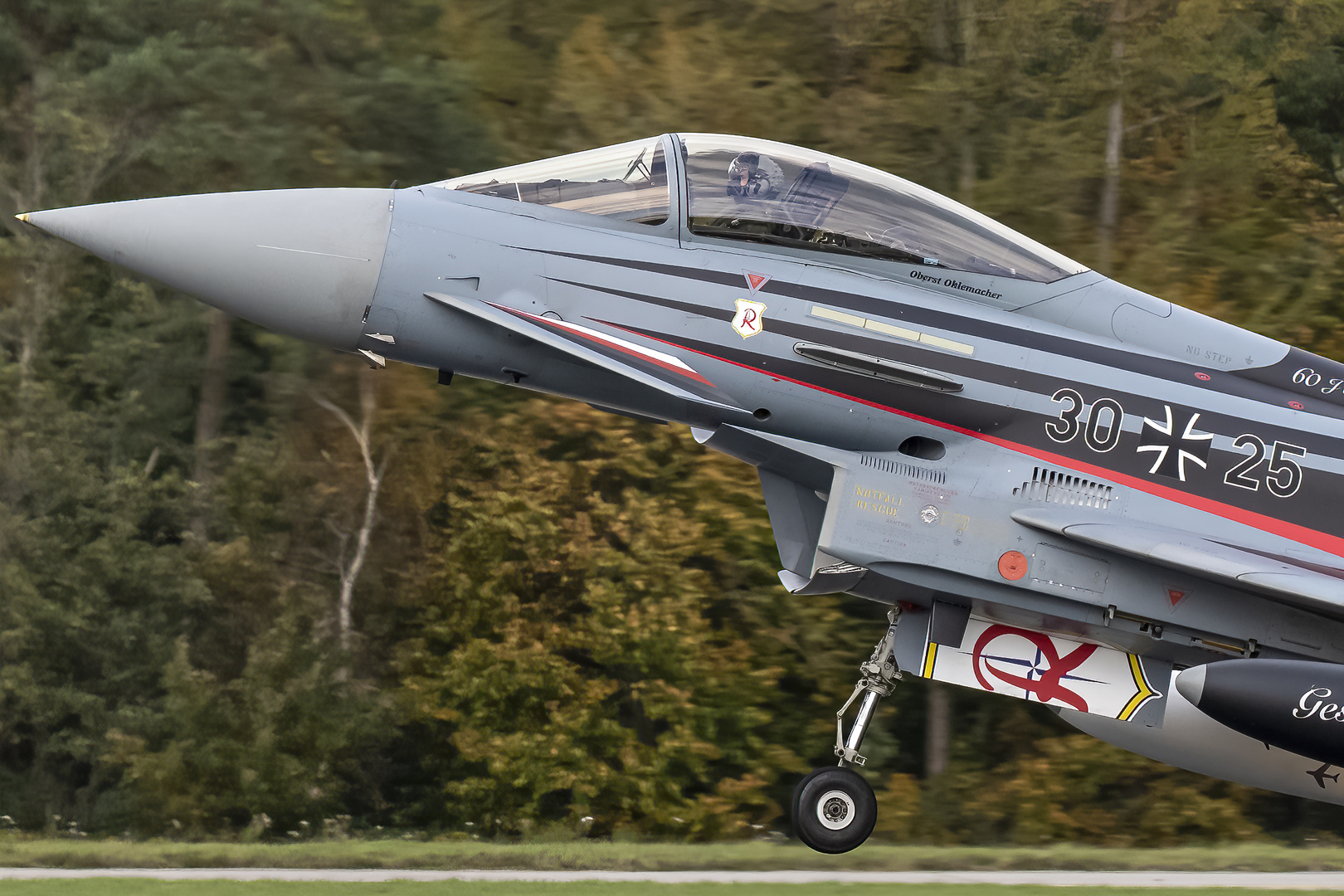 Eurofighter Typhoon"BARON SPIRIT"