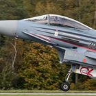 Eurofighter Typhoon"BARON SPIRIT"