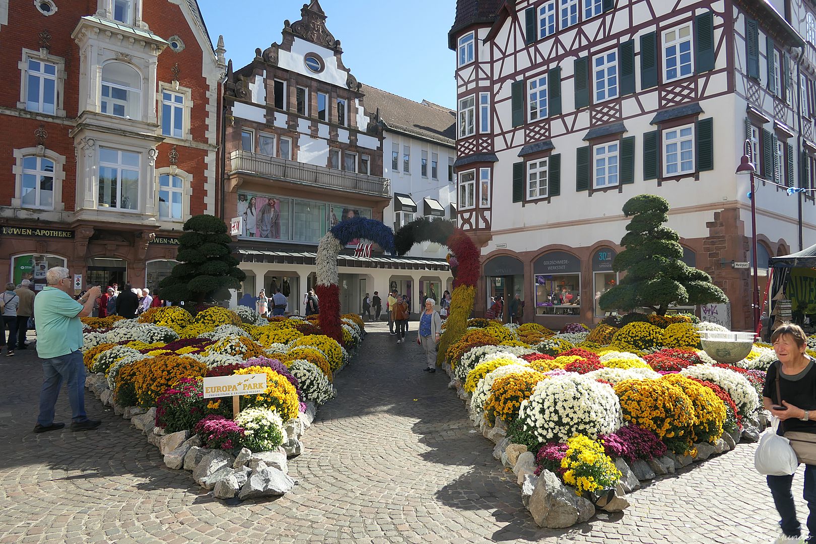 Europa Park investit dans les chrysanthèmes....