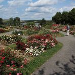 Europa-Rosarium Sangerhausen