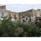 europäische Heimat des Papyrus - Siracusa