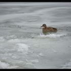 Europakanal im Winter