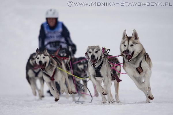 European Championships in Haidmuehle