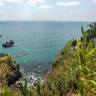 europe's only beachfront banana plantation