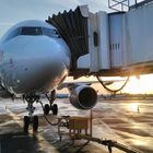 Eurowings Airbus A3220 in Manchester