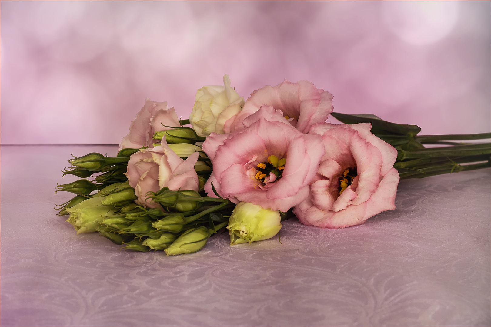 Eustoma - Lisianthus - Japan Rose.....