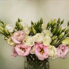 Eustoma - Lisianthus - Japan Rose II.....