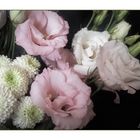 Eustoma und Chrysantheme