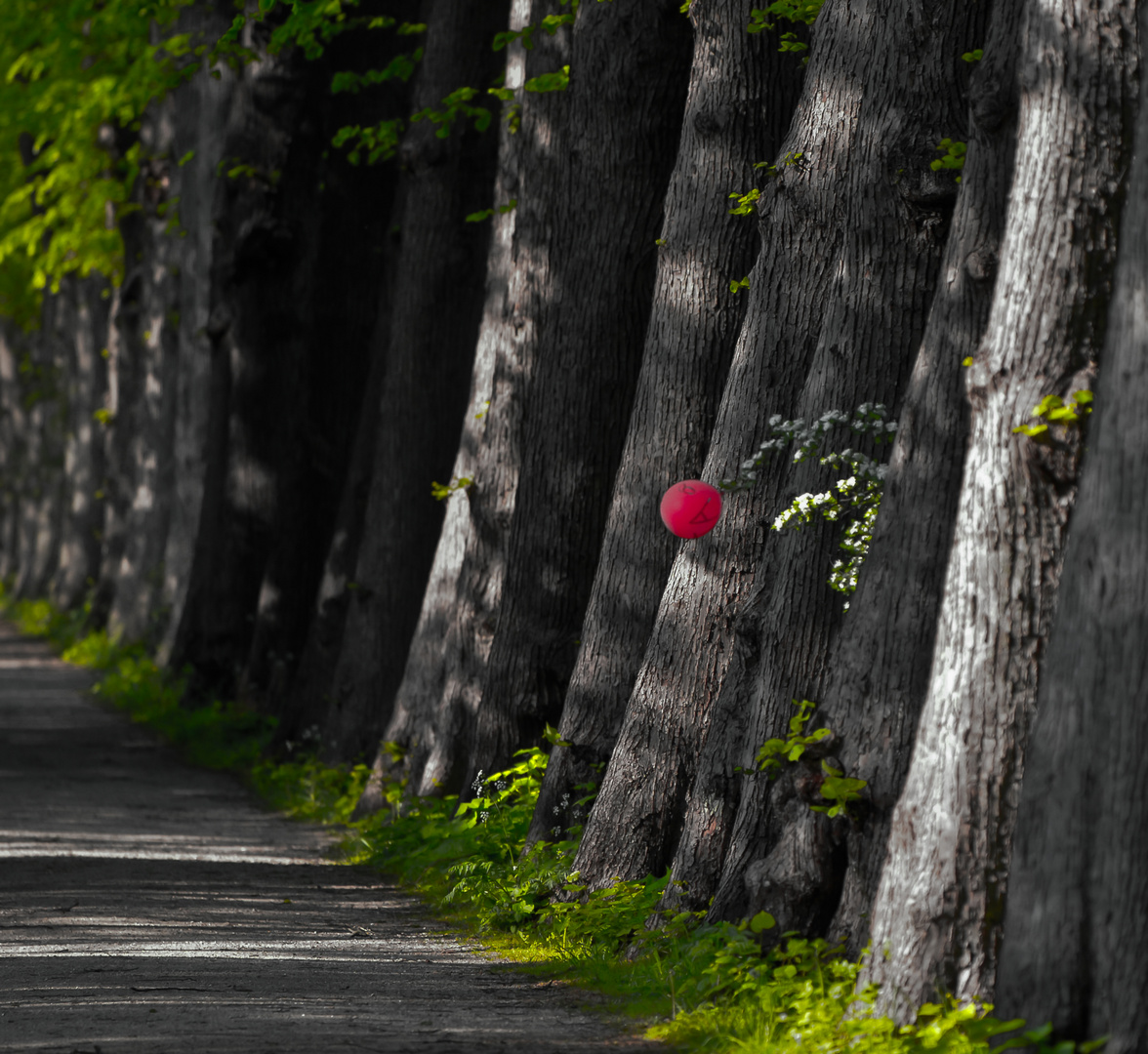 Eutin-Allee